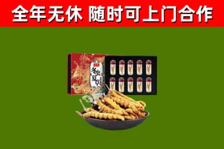 遂宁市烟酒回收冬虫夏草礼盒.jpg